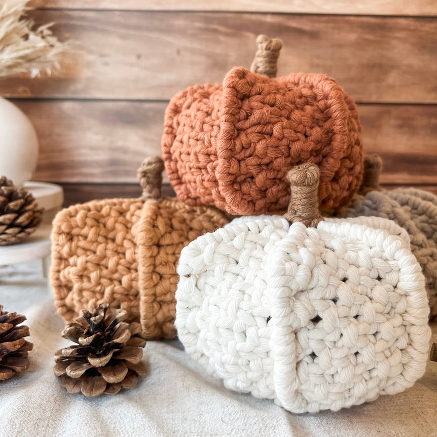 pumpkin bundle