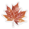 clear fall maple leaf