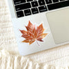 clear fall maple leaf